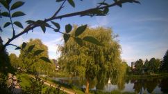Rosarium Webcam
