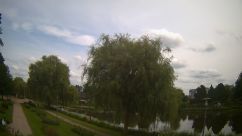 Rosarium Webcam