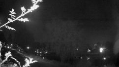 Rosarium Webcam