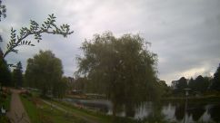 Rosarium Webcam