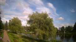Rosarium Webcam
