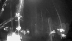 Rosarium Webcam