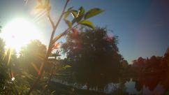 Rosarium Webcam