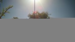 Rosarium Webcam