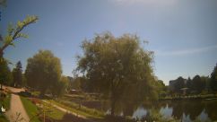 Rosarium Webcam
