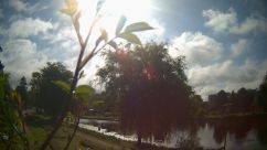 Rosarium Webcam
