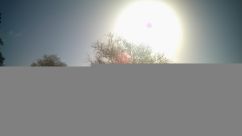 Rosarium Webcam