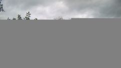 Rosarium Webcam