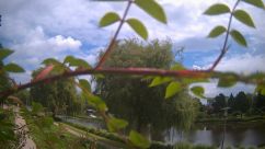 Rosarium Webcam