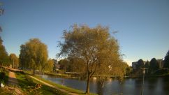Rosarium Webcam