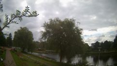 Rosarium Webcam