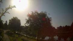Rosarium Webcam