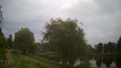 Rosarium Webcam
