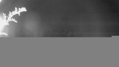 Rosarium Webcam