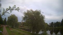 Rosarium Webcam