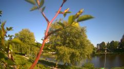 Rosarium Webcam