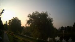 Rosarium Webcam