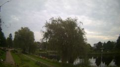 Rosarium Webcam