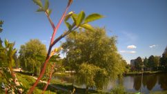 Rosarium Webcam