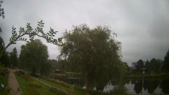 Rosarium Webcam