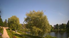 Rosarium Webcam