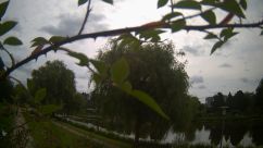 Rosarium Webcam