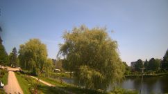 Rosarium Webcam