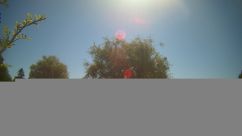 Rosarium Webcam