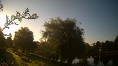 Rosarium Webcam