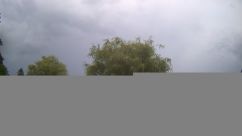 Rosarium Webcam