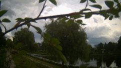 Rosarium Webcam
