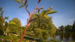 Rosarium Webcam