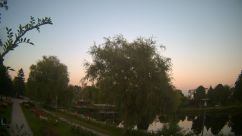 Rosarium Webcam