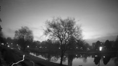 Rosarium Webcam