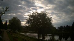Rosarium Webcam