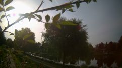 Rosarium Webcam