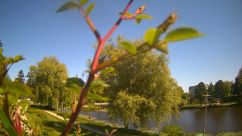 Rosarium Webcam