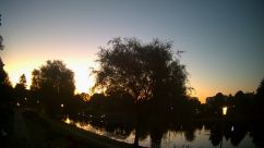 Rosarium Webcam