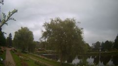 Rosarium Webcam