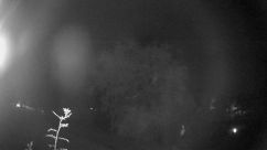 Rosarium Webcam