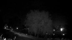 Rosarium Webcam