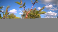 Rosarium Webcam