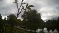 Rosarium Webcam