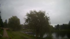 Rosarium Webcam