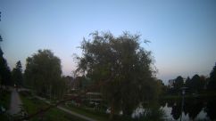 Rosarium Webcam