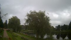 Rosarium Webcam