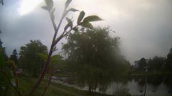 Rosarium Webcam