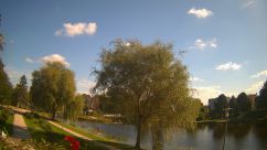 Rosarium Webcam