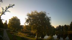 Rosarium Webcam