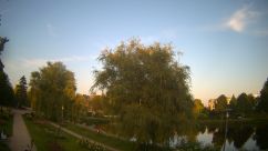 Rosarium Webcam